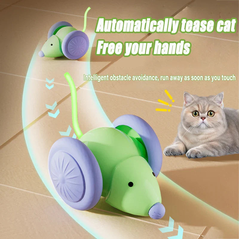 Electric Mouse Car Toy