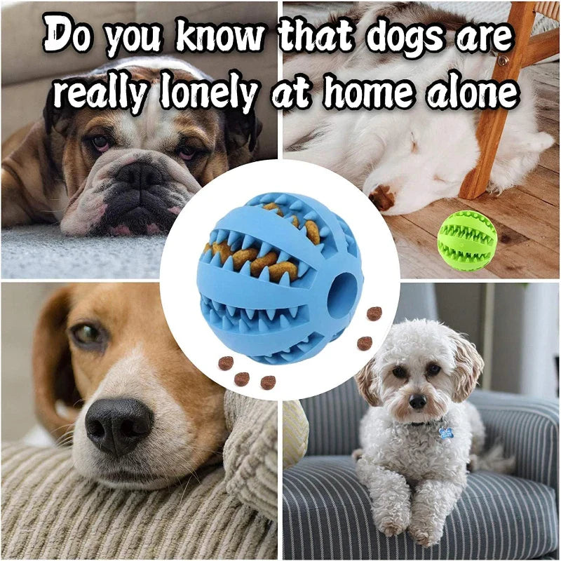 Interactive Rubber Dog Toy Ball