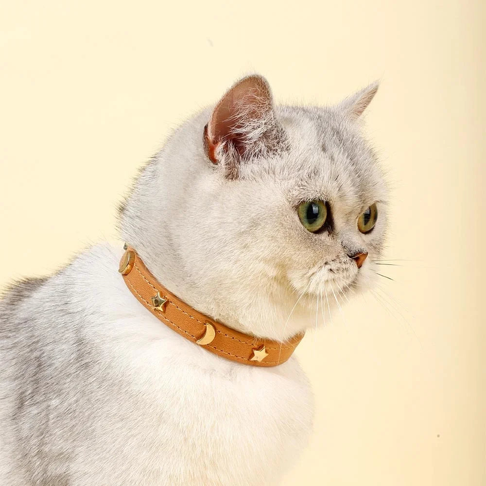 Cute Cat Collar