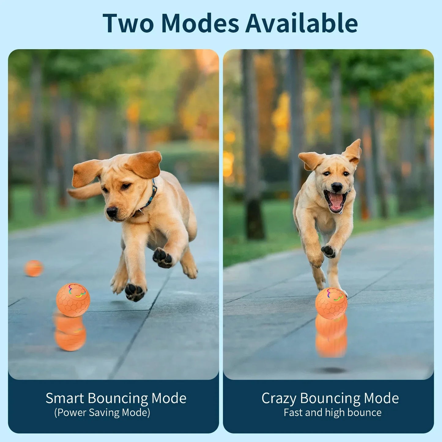 Smart Interactive Dog Toy Ball
