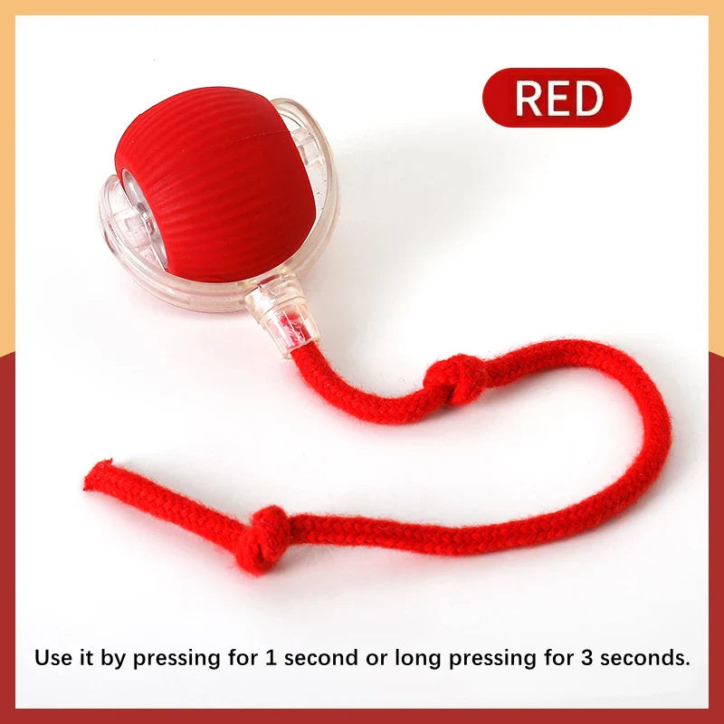 Smart Interactive Dog Toy Ball