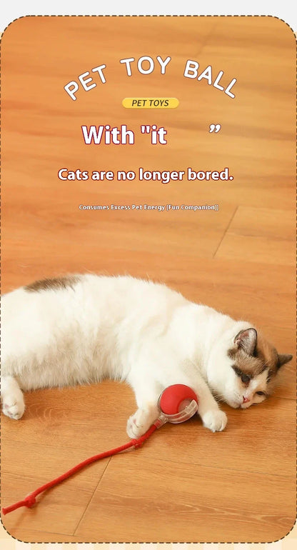 Hot Electric Automatic Rolling Dog Ball Toy