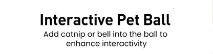 2-in-1 Smart Interactive Pet Toy
